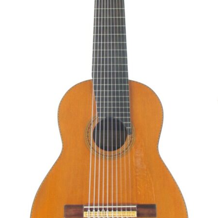 Amalio Burguet 1a 10-string