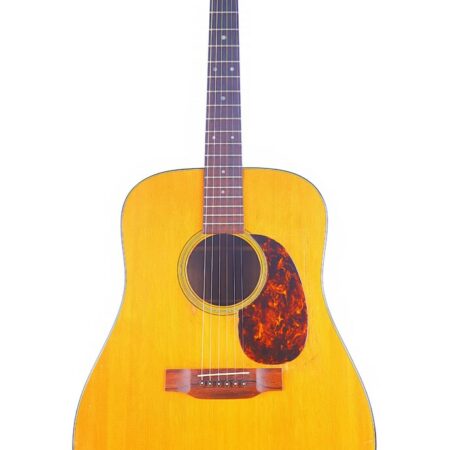 Martin D-21 1969