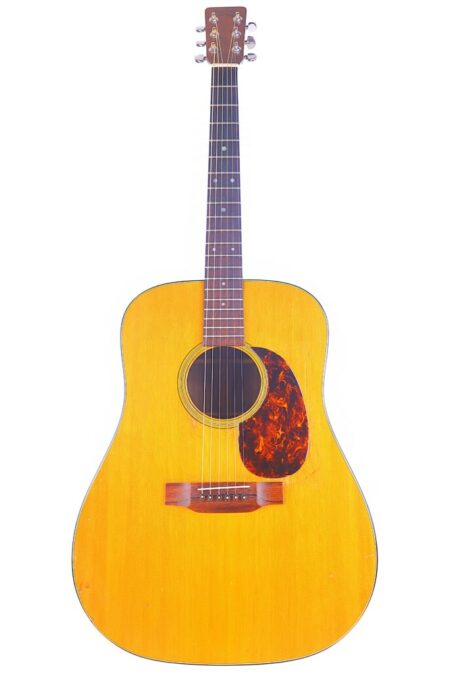 Martin D-21 1969